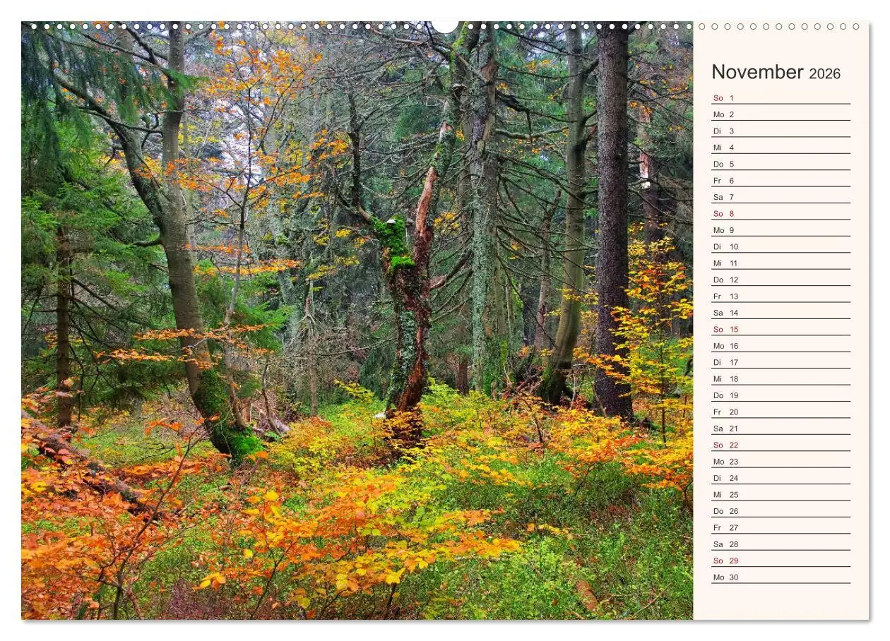 Bild: 9783457730584 | Riesengebirge - Zwischen Schlesien und Böhmen (hochwertiger Premium...