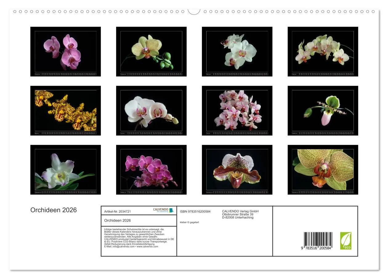 Bild: 9783516200584 | Orchideen 2026 (hochwertiger Premium Wandkalender 2026 DIN A2...
