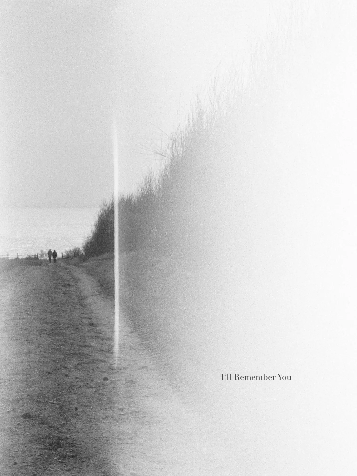 Cover: 9783735610584 | Jonas Dahlström | I'll Remember You | Mats Dahlström | Taschenbuch