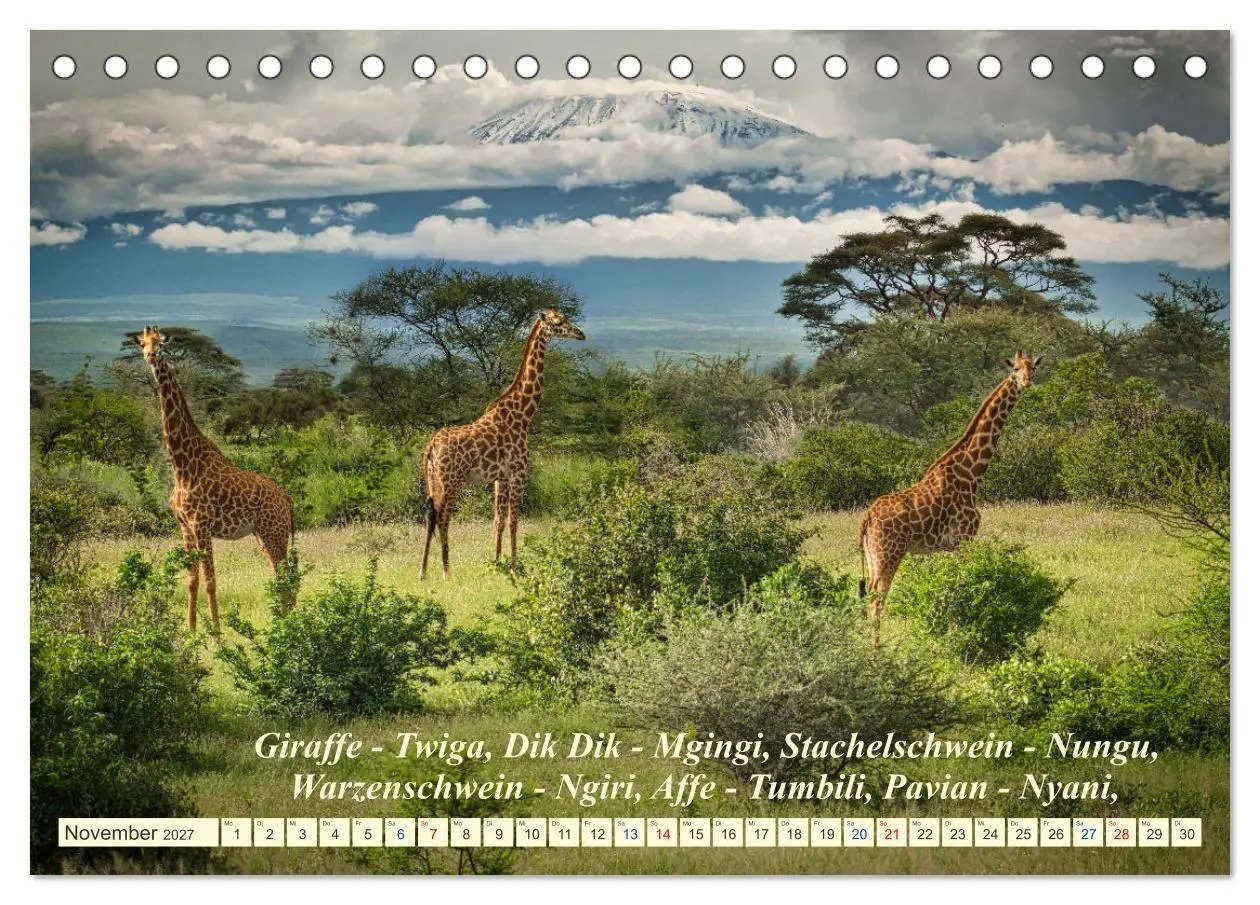Bild: 9783569520684 | Jambo Kenya (Tischkalender 2027 DIN A5 quer), CALVENDO Monatskalender