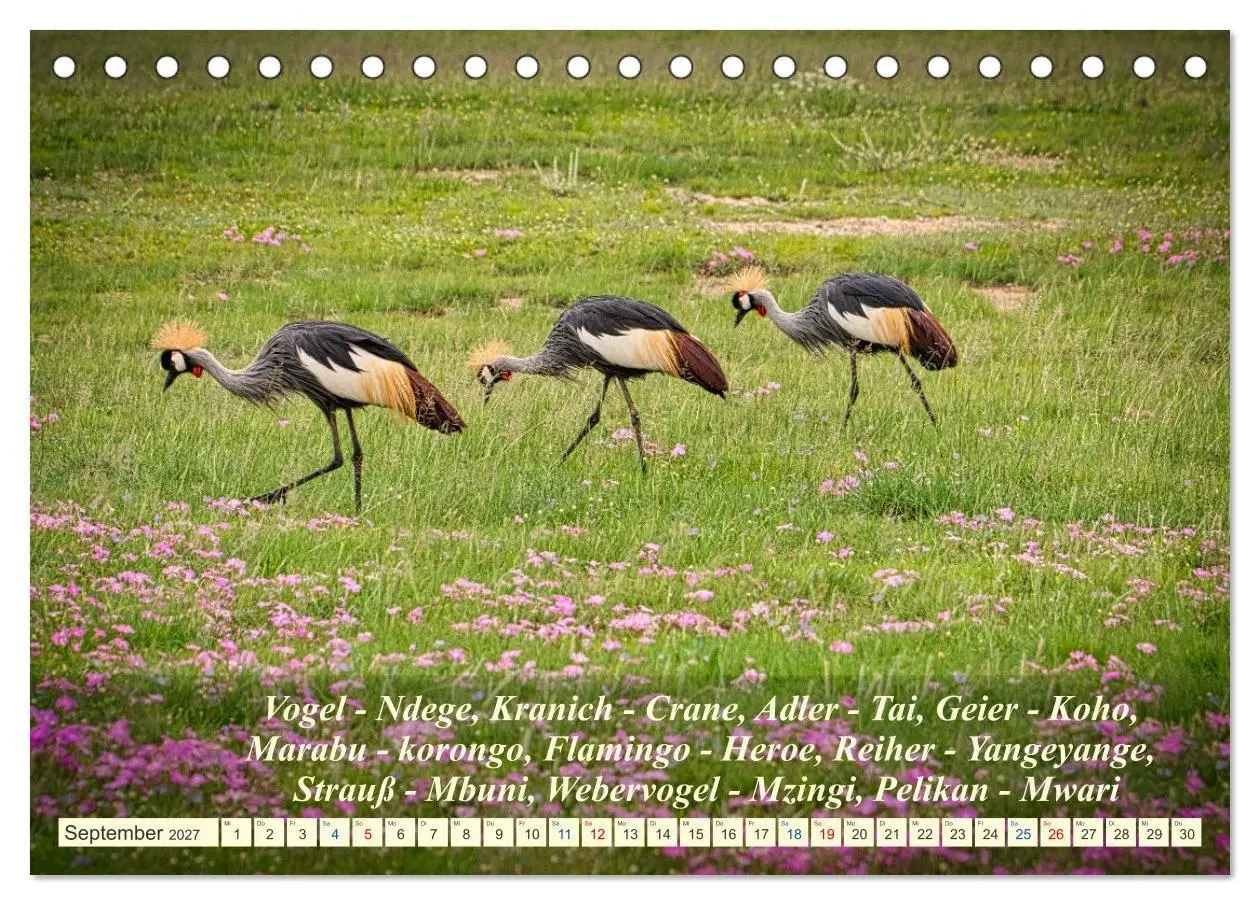 Bild: 9783569520684 | Jambo Kenya (Tischkalender 2027 DIN A5 quer), CALVENDO Monatskalender