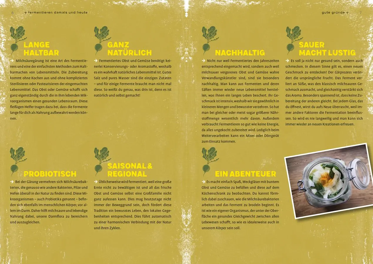 Bild: 9783818620684 | Fermentier' doch mal! | Stefanie Horn | Taschenbuch | 128 S. | Deutsch