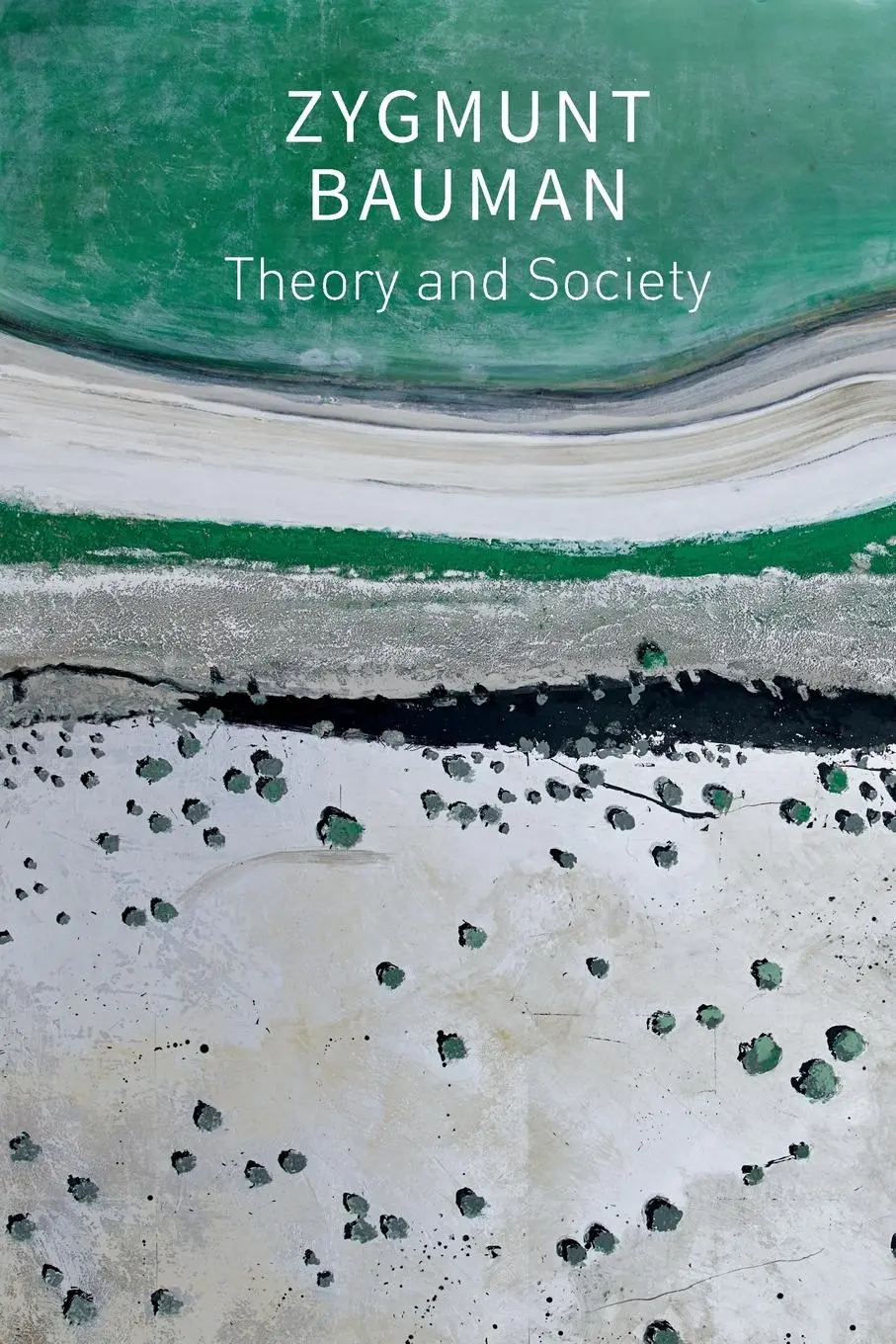 Cover: 9781509550784 | Theory and Society | Selected Writings, Volume 3 | Zygmunt Bauman