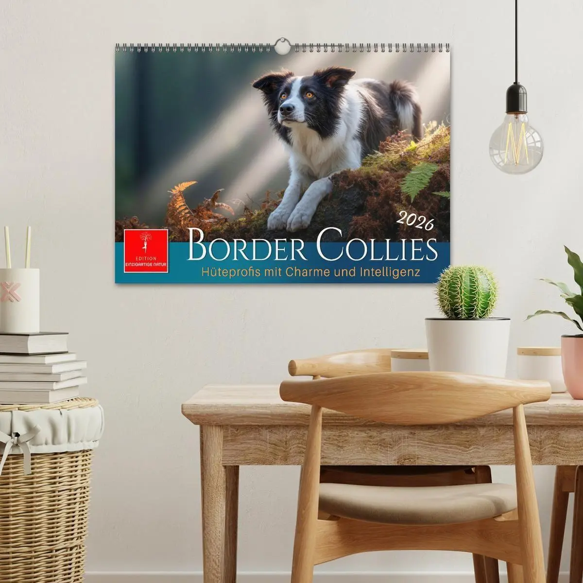 Bild: 9783516730784 | Border Collies Hüteprofis (Wandkalender 2026 DIN A3 quer), CALVENDO...