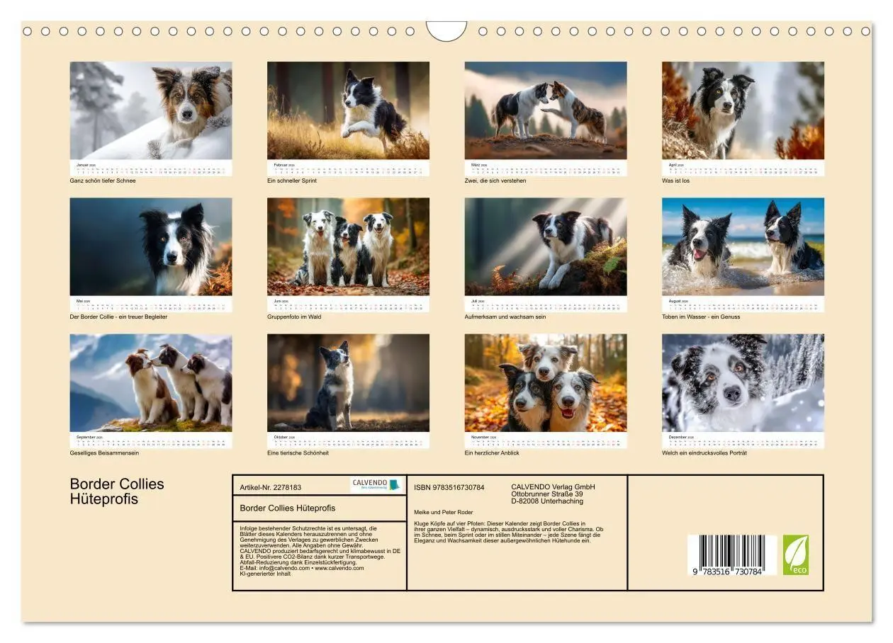 Bild: 9783516730784 | Border Collies Hüteprofis (Wandkalender 2026 DIN A3 quer), CALVENDO...