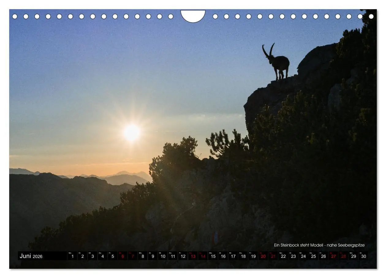 Bild: 9783457560884 | Magisches Licht der Berge (Wandkalender 2026 DIN A4 quer), CALVENDO...