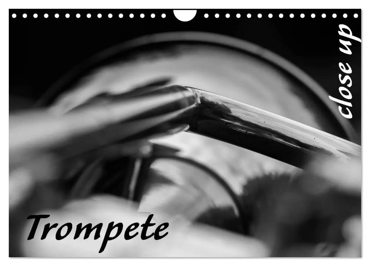 Cover: 9783457870884 | Trompete - Close up (Wandkalender 2026 DIN A4 quer), CALVENDO...