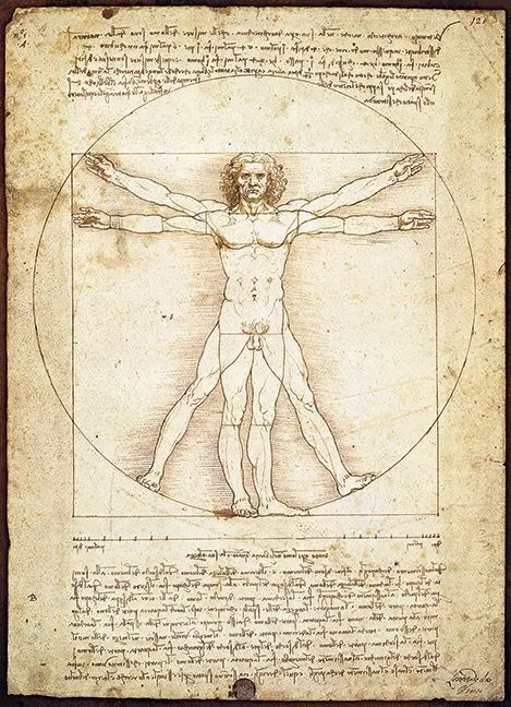 Cover: 628136650984 | The Vitruvian Man (Puzzle) | Spiel | In Spielebox | 6000-5098 | 2023