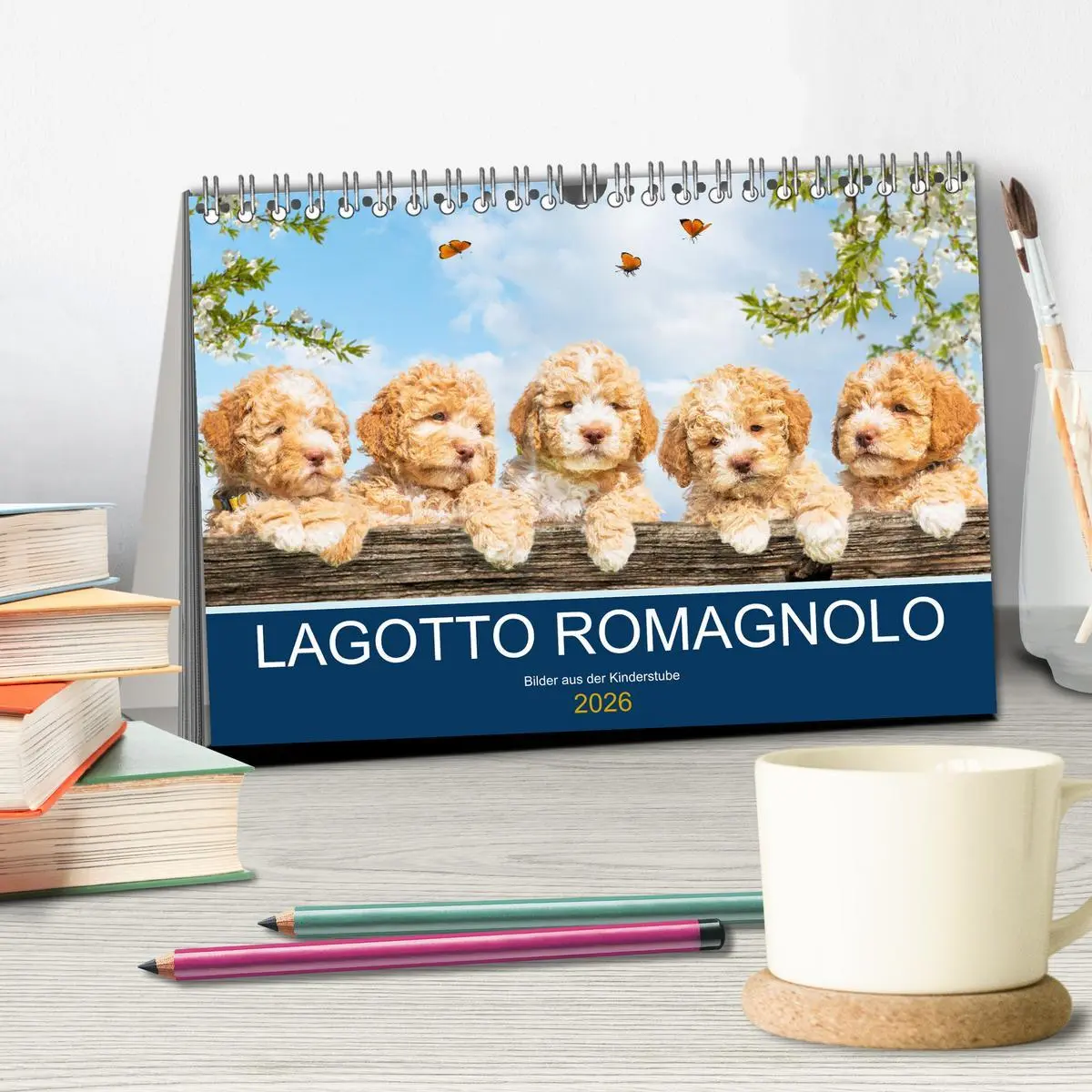 Bild: 9783457620984 | Lagotto Romagnolo - Bilder aus der Kinderstube (Tischkalender 2026...