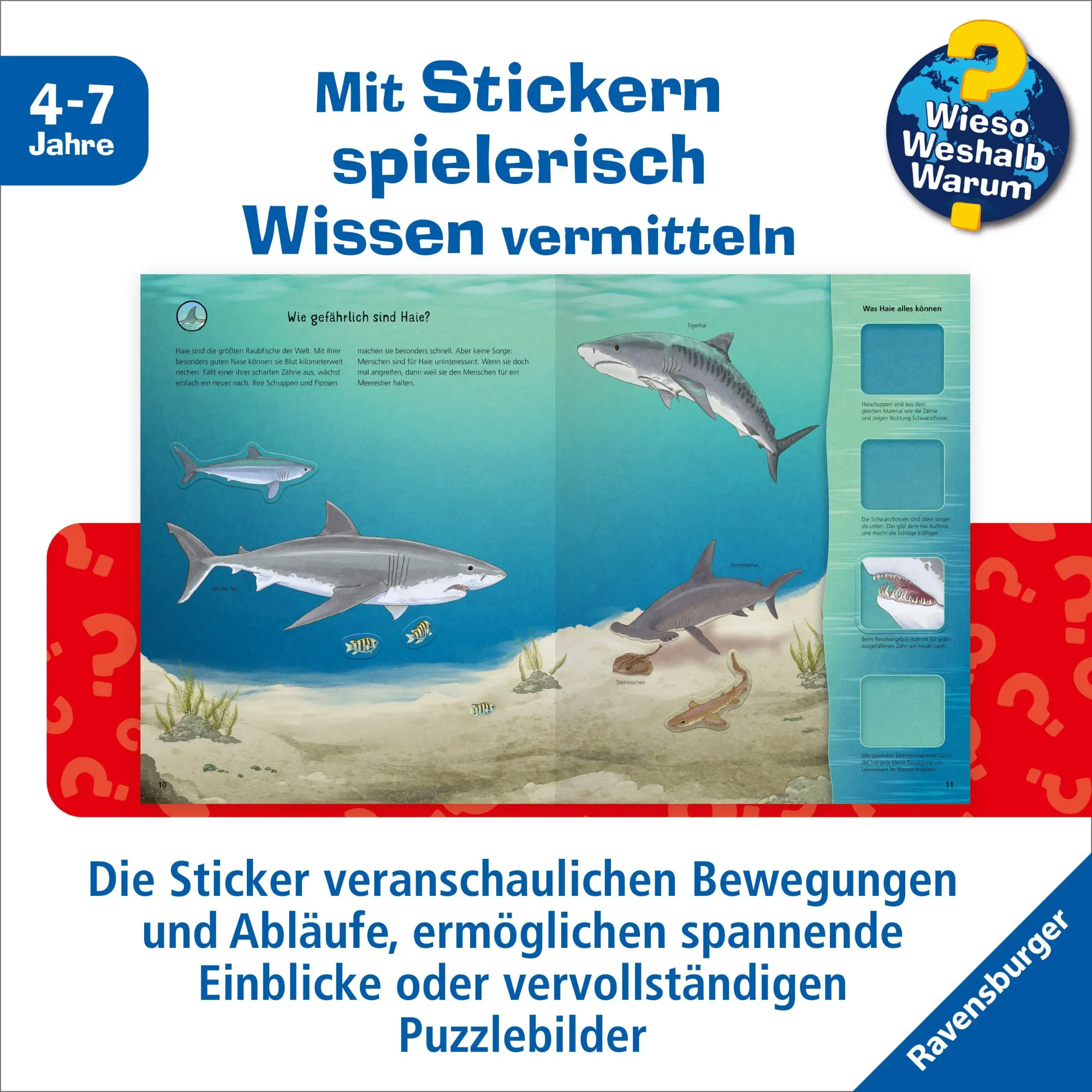 Bild: 9783473600984 | Wieso? Weshalb? Warum? Stickerheft - Meerestiere | Stefan Richter