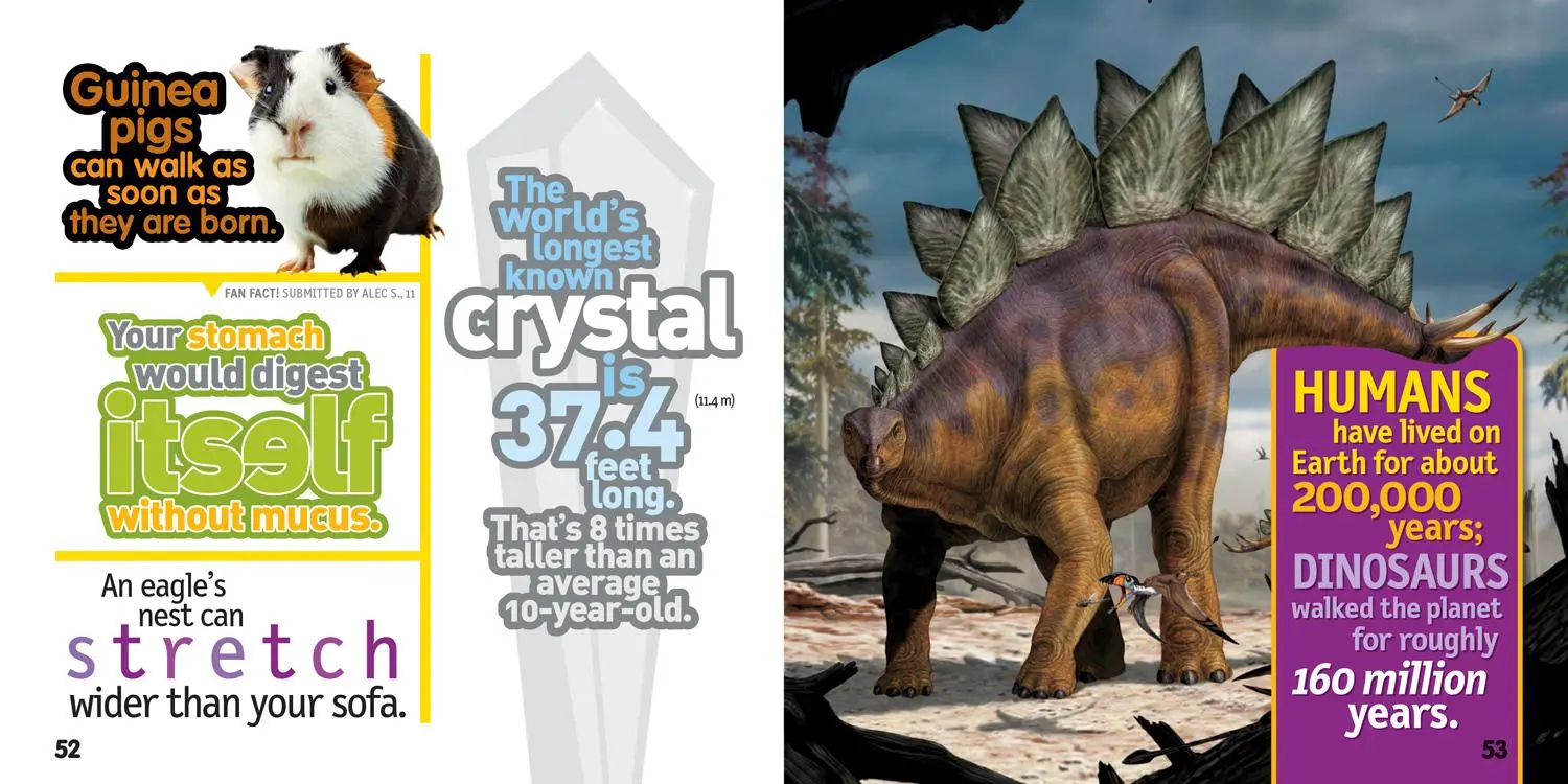 Bild: 9781426331084 | Weird But True 3: Expanded Edition | National Geographic Kids | Buch