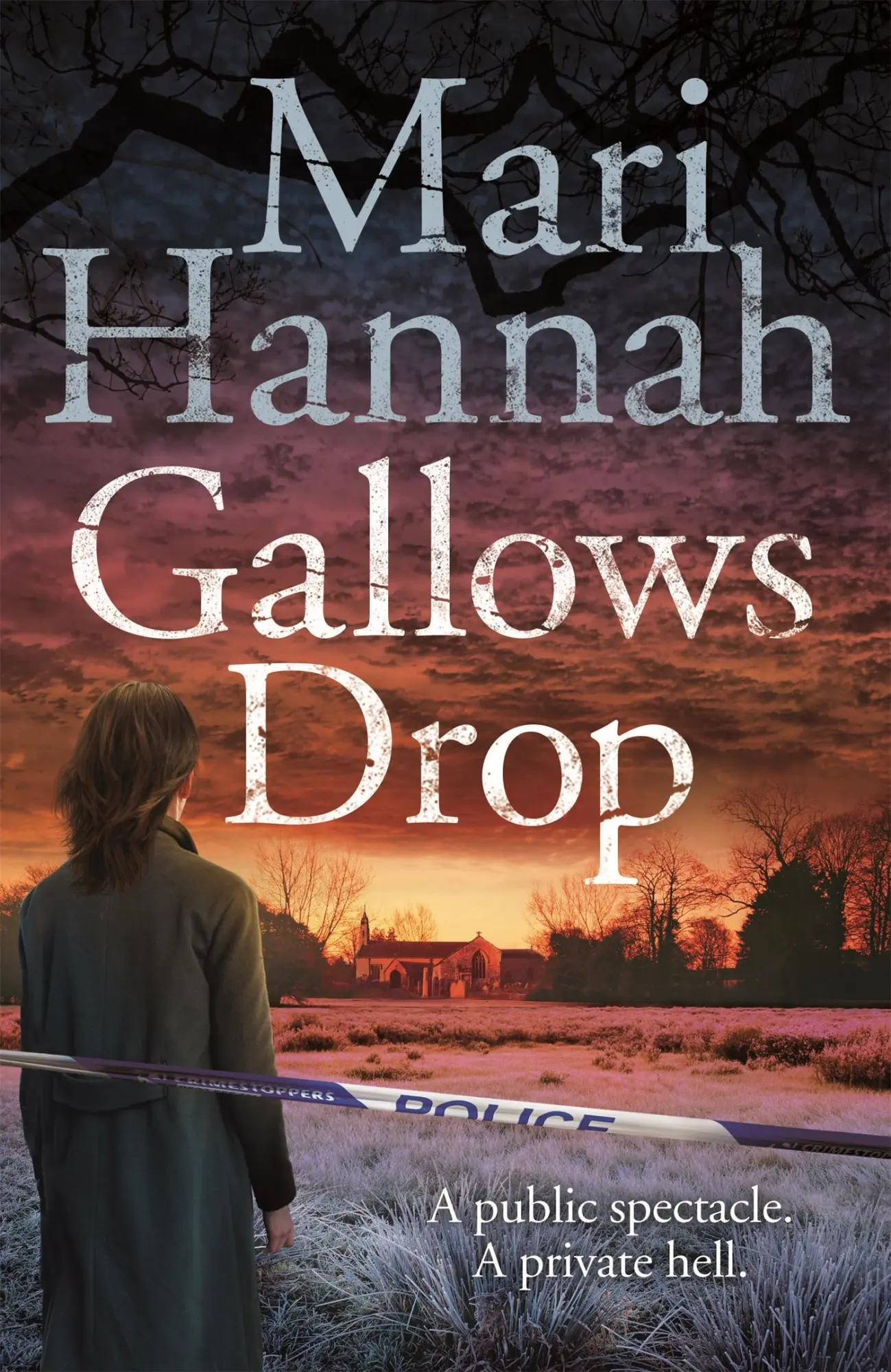 Cover: 9781447291084 | Gallows Drop | Mari Hannah | Taschenbuch | Kartoniert / Broschiert