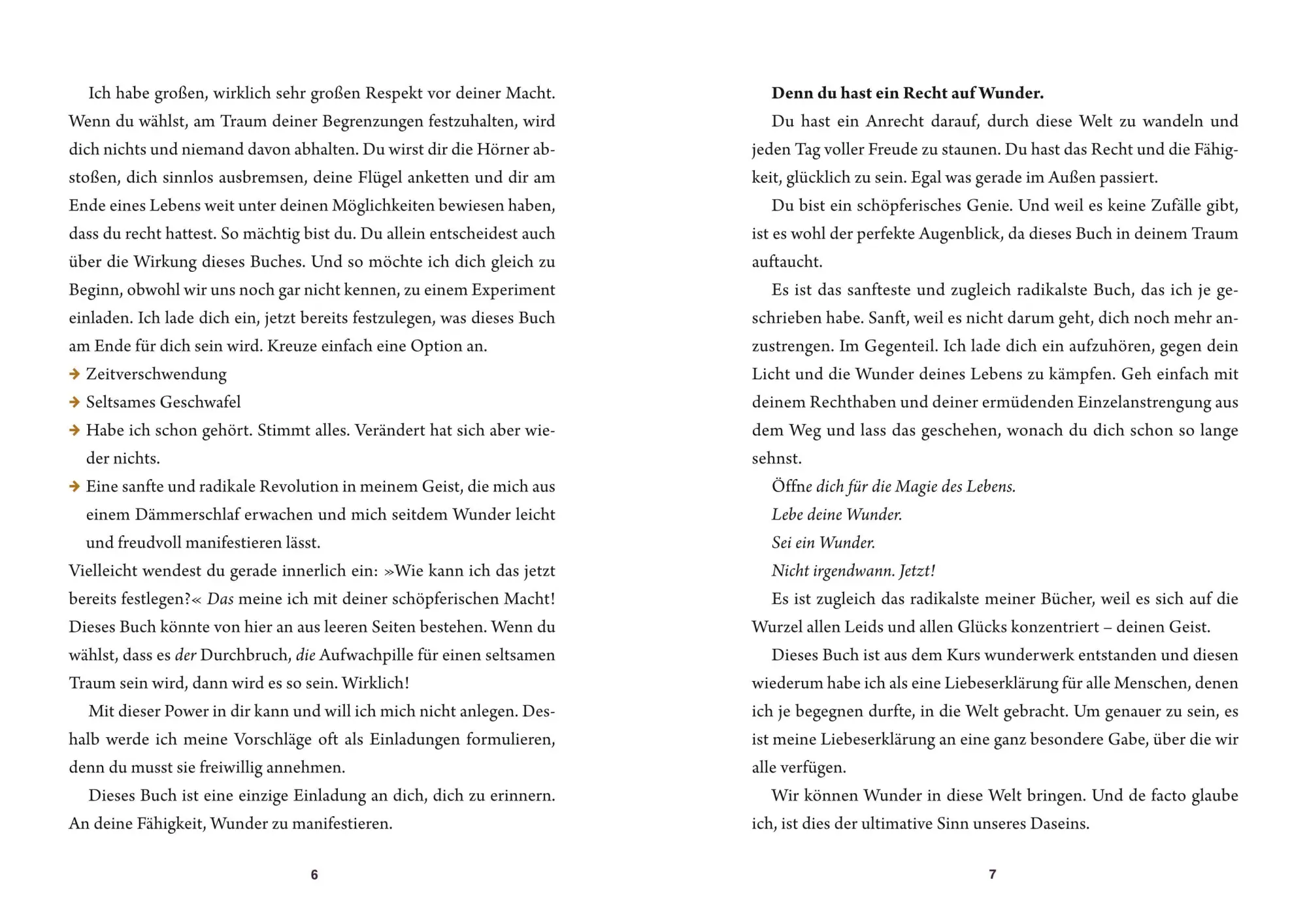 Bild: 9783833881084 | Wunderwerk | Wie du das Unmögliche möglich machst | Veit Lindau | Buch