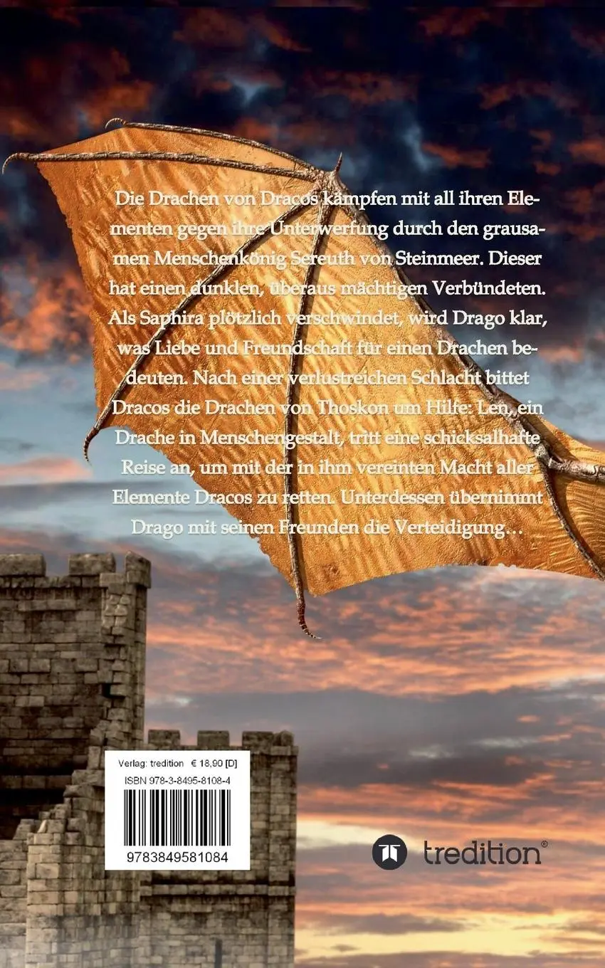Rückseite: 9783849581084 | Drachenschlag | Im Schein der Welten | Jan Lennart Birkmann | Buch