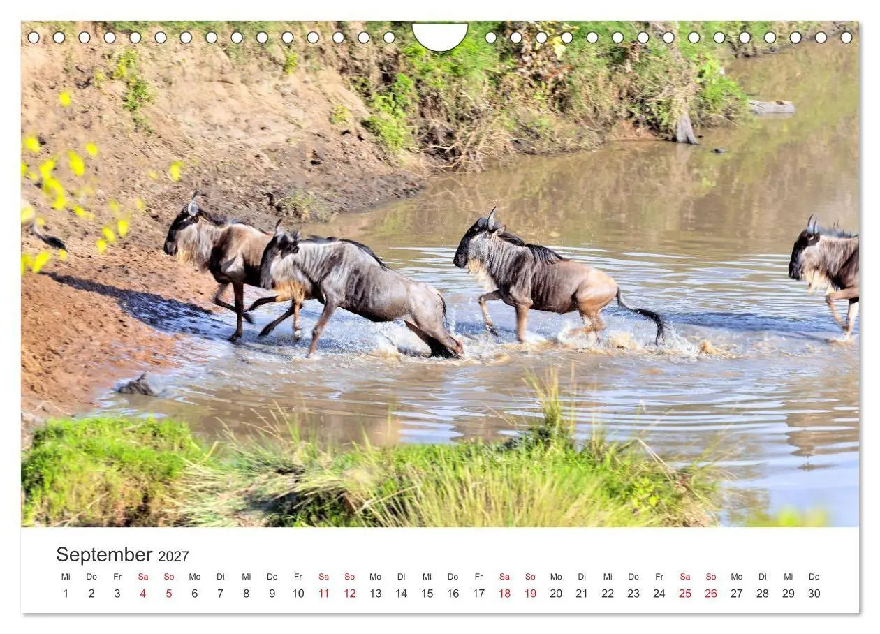 Bild: 9783569851184 | Kenia - Ein Land wie Afrika (Wandkalender 2027 DIN A4 quer),...