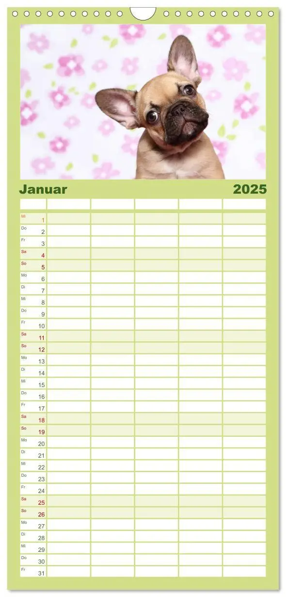 Bild: 9783457111284 | Familienplaner 2025 - Der Bully - Kalender Familienplaner hoch mit...