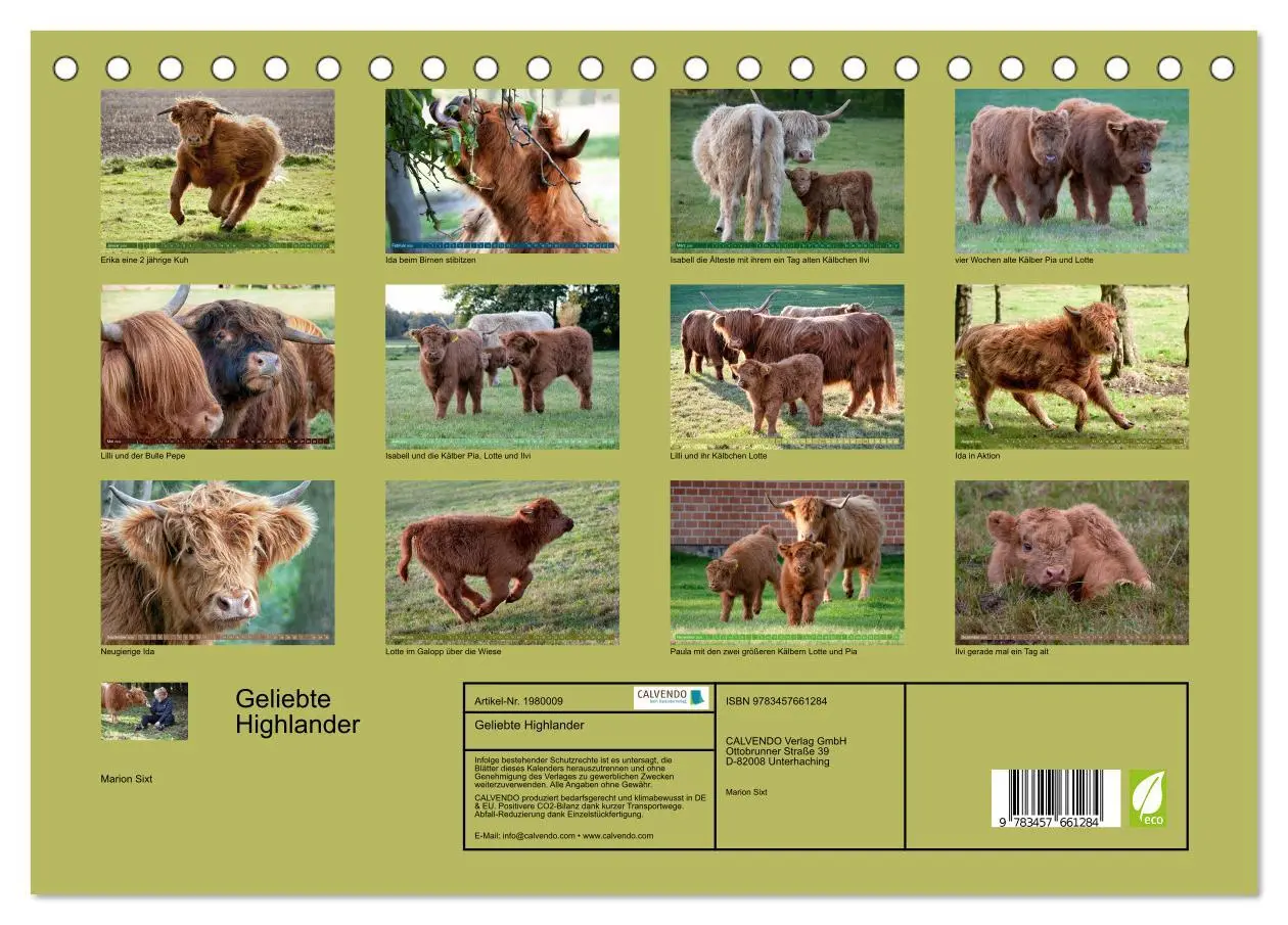 Bild: 9783457661284 | Geliebte Highlander (Tischkalender 2026 DIN A5 quer), CALVENDO...