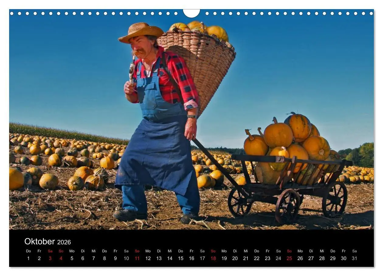 Bild: 9783516061284 | BAUERNSCHLAU 2026 (Wandkalender 2026 DIN A3 quer), CALVENDO...