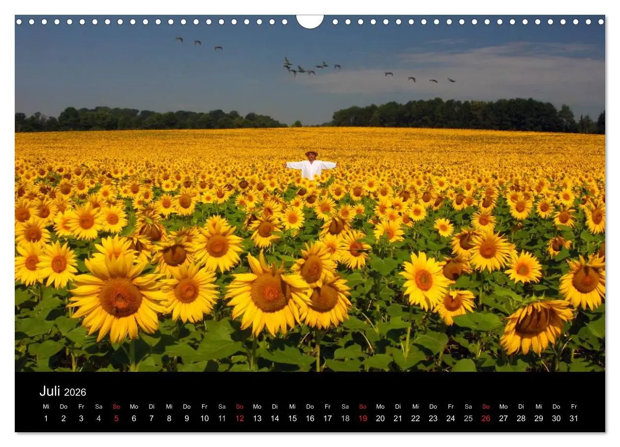 Bild: 9783516061284 | BAUERNSCHLAU 2026 (Wandkalender 2026 DIN A3 quer), CALVENDO...