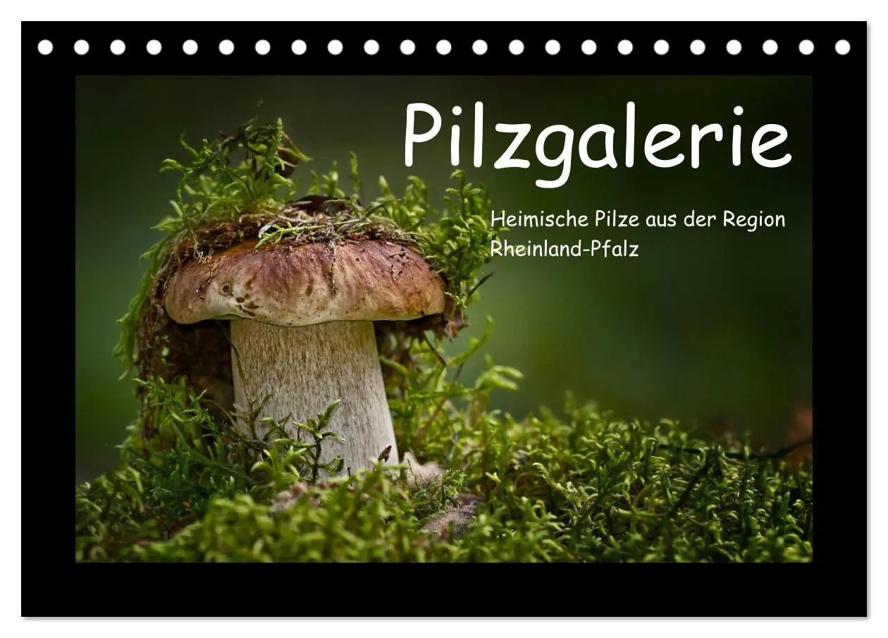 Cover: 9783457891384 | Pilzgalerie - Heimische Pilze aus der Region Rheinland-Pfalz...