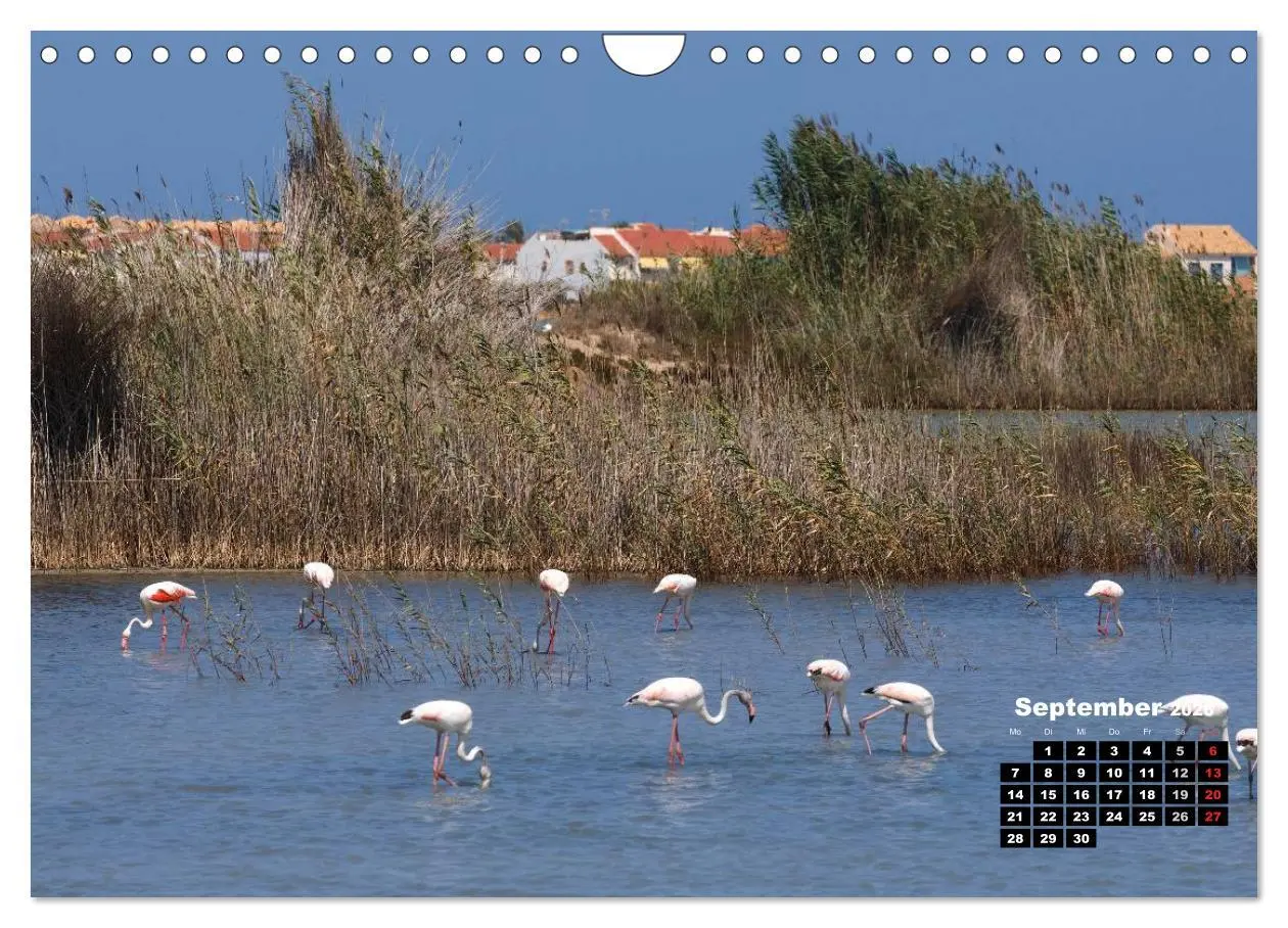 Bild: 9783516121384 | Costa Blanca - Sonne, Strand und mehr (Wandkalender 2026 DIN A4...