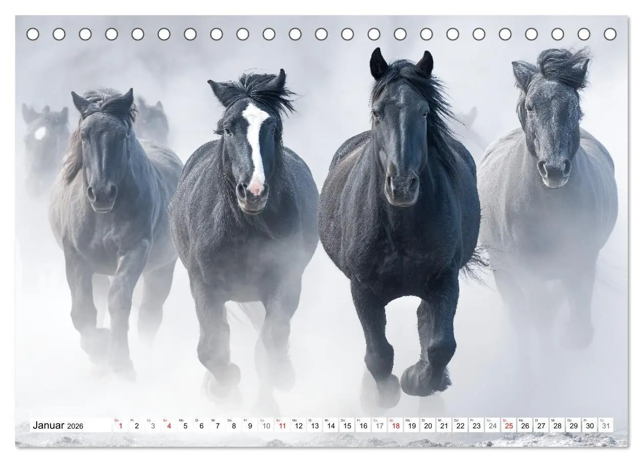 Bild: 9783516671384 | Pferde in freier Natur (Tischkalender 2026 DIN A5 quer), CALVENDO...