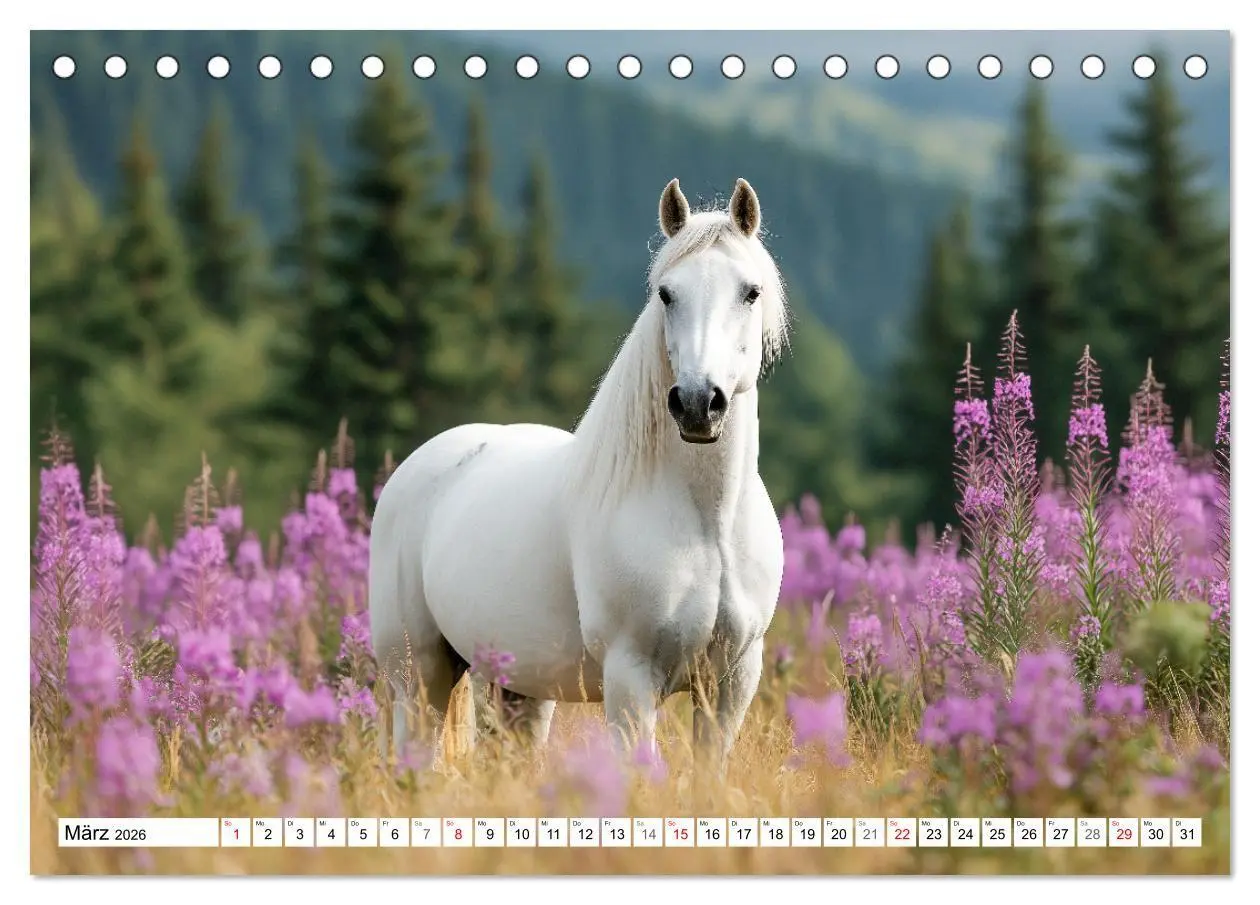 Bild: 9783516671384 | Pferde in freier Natur (Tischkalender 2026 DIN A5 quer), CALVENDO...