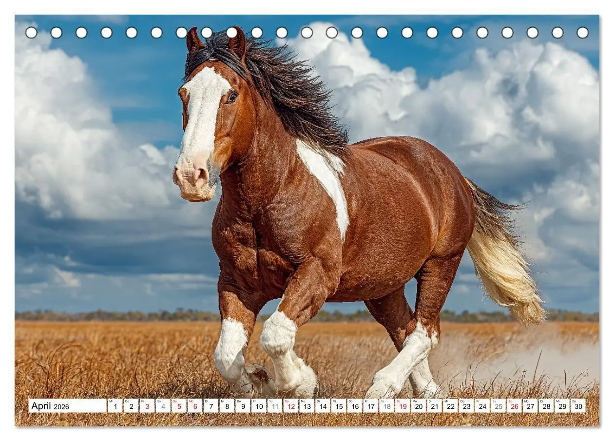 Bild: 9783516671384 | Pferde in freier Natur (Tischkalender 2026 DIN A5 quer), CALVENDO...