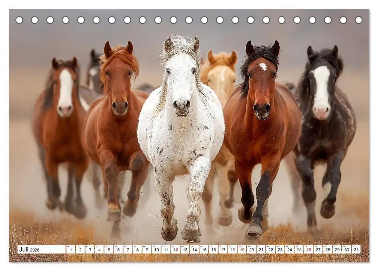 Bild: 9783516671384 | Pferde in freier Natur (Tischkalender 2026 DIN A5 quer), CALVENDO...