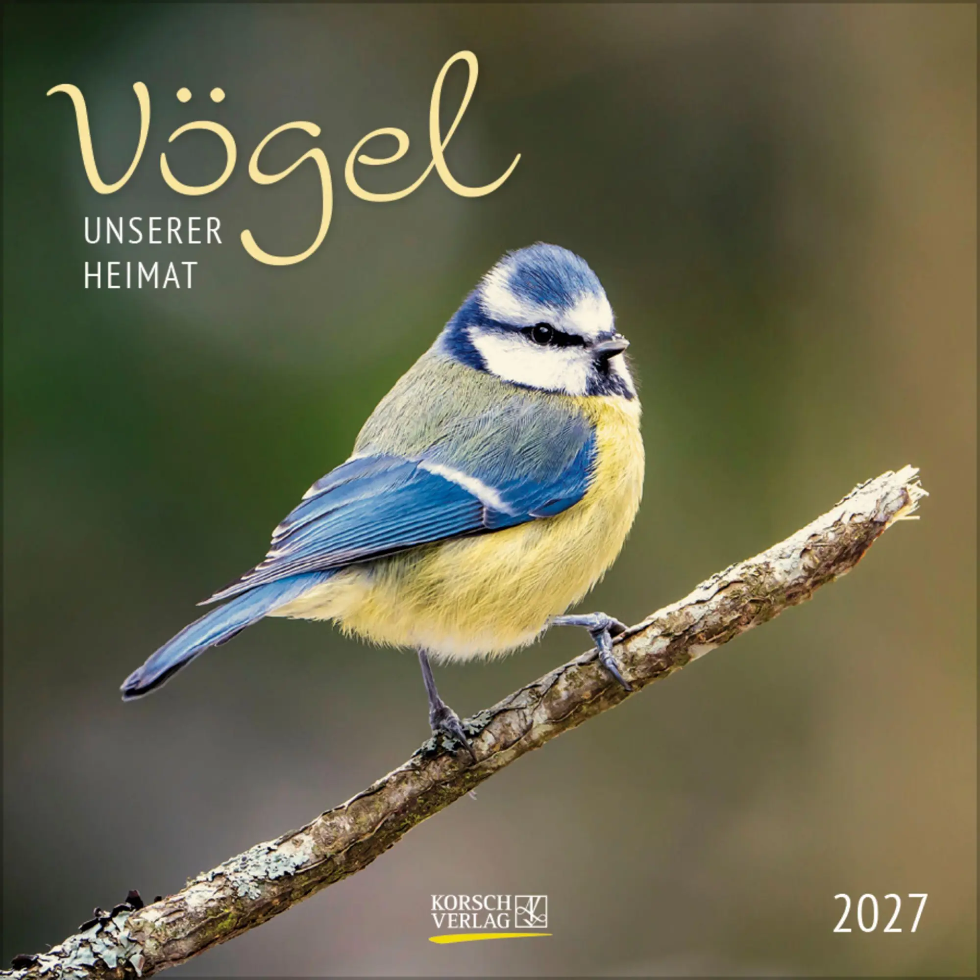 Cover: 9783819301384 | Vögel 2027 | Verlag Korsch | Kalender | 13 S. | Deutsch | 2027