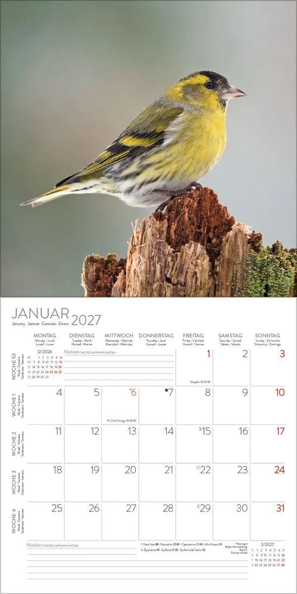 Bild: 9783819301384 | Vögel 2027 | Verlag Korsch | Kalender | 13 S. | Deutsch | 2027