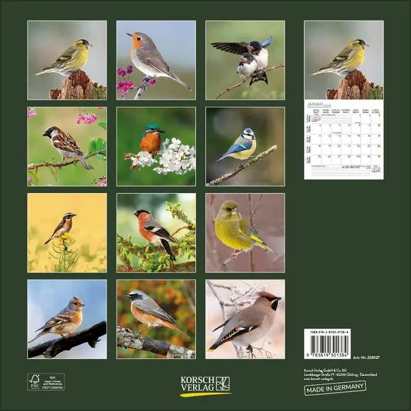 Bild: 9783819301384 | Vögel 2027 | Verlag Korsch | Kalender | 13 S. | Deutsch | 2027
