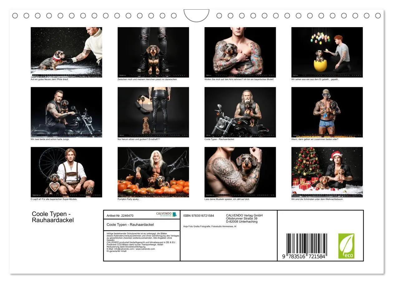 Bild: 9783516721584 | Coole Typen - Rauhaardackel (Wandkalender 2026 DIN A4 quer),...