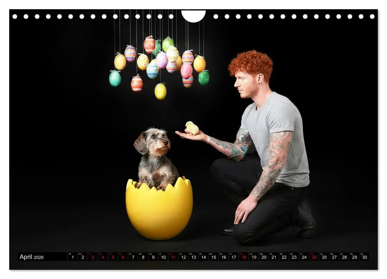 Bild: 9783516721584 | Coole Typen - Rauhaardackel (Wandkalender 2026 DIN A4 quer),...