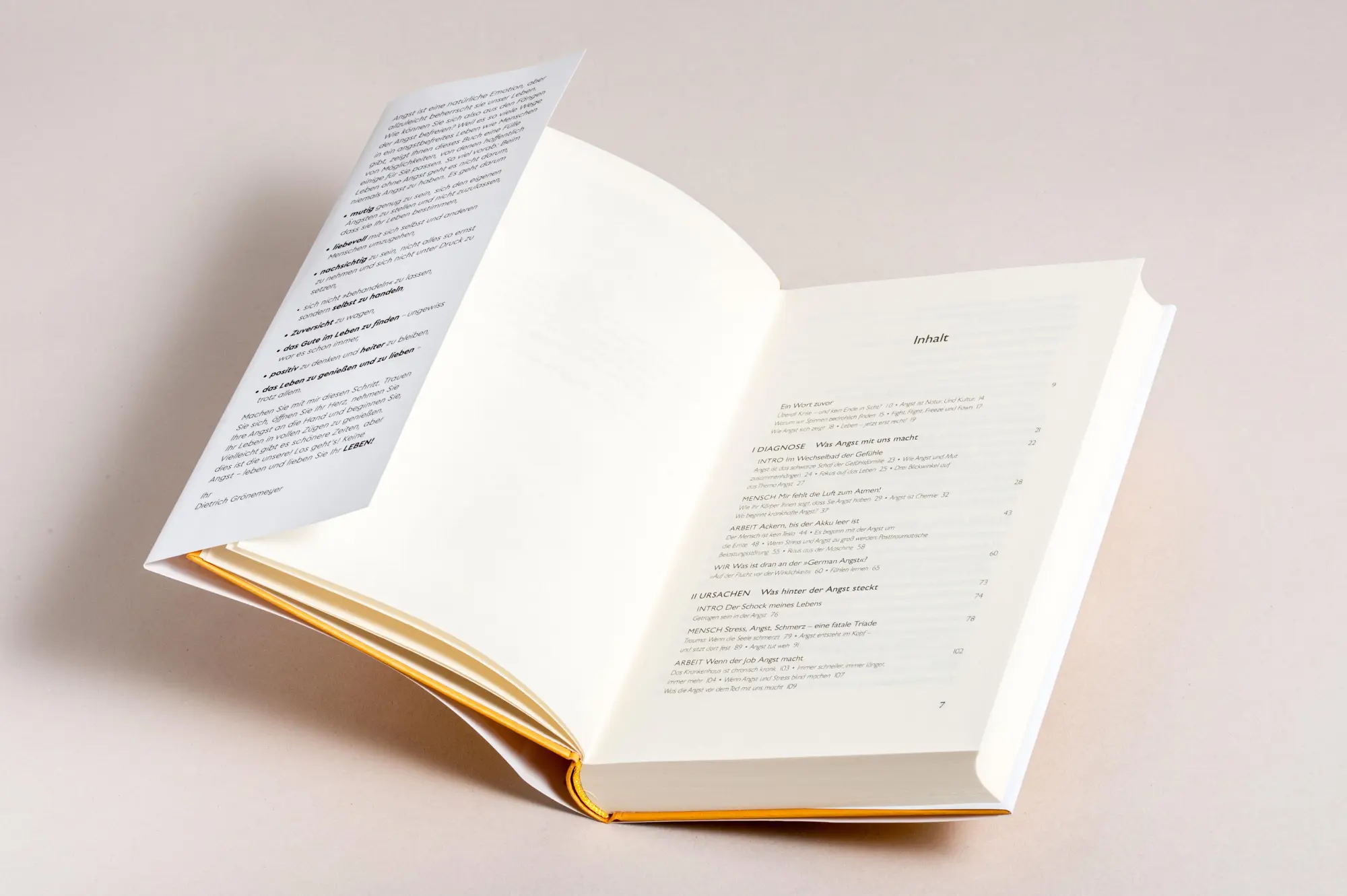 Bild: 9783453281684 | Leben ohne Angst | Dietrich Grönemeyer | Buch | 272 S. | Deutsch