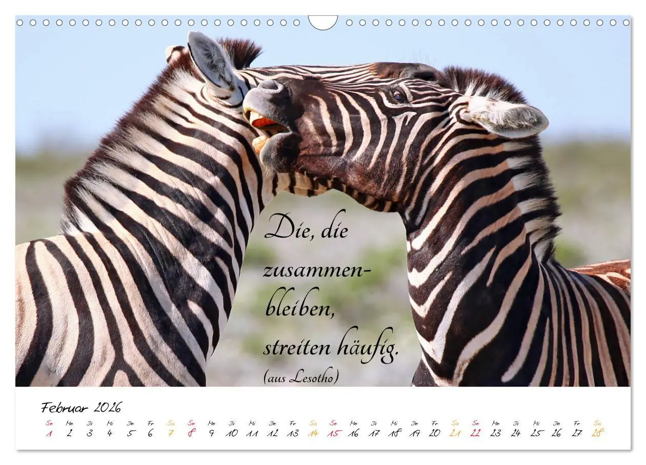 Bild: 9783457861684 | AFRIKA - Kontinent der Poesie (Wandkalender 2026 DIN A3 quer),...