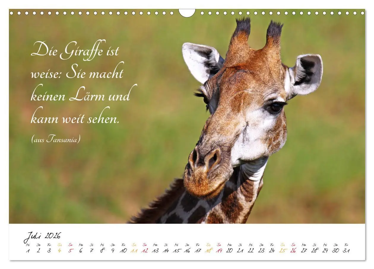 Bild: 9783457861684 | AFRIKA - Kontinent der Poesie (Wandkalender 2026 DIN A3 quer),...