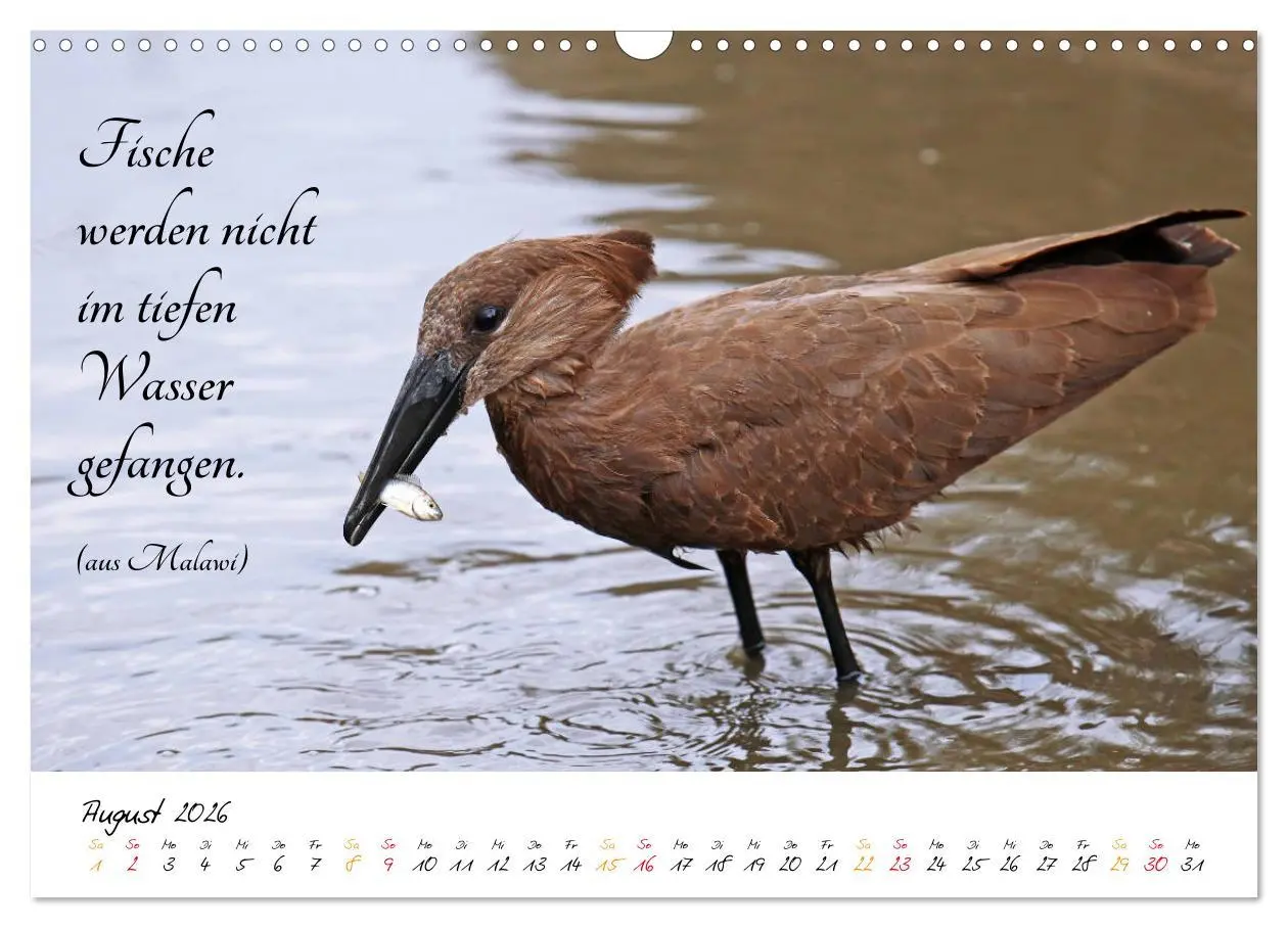 Bild: 9783457861684 | AFRIKA - Kontinent der Poesie (Wandkalender 2026 DIN A3 quer),...