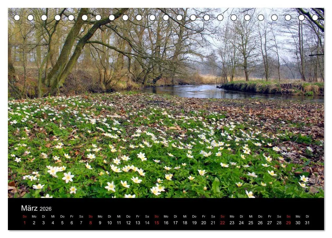 Bild: 9783516191684 | Lüneburg und die Lüneburger Heide (Tischkalender 2026 DIN A5 quer),...