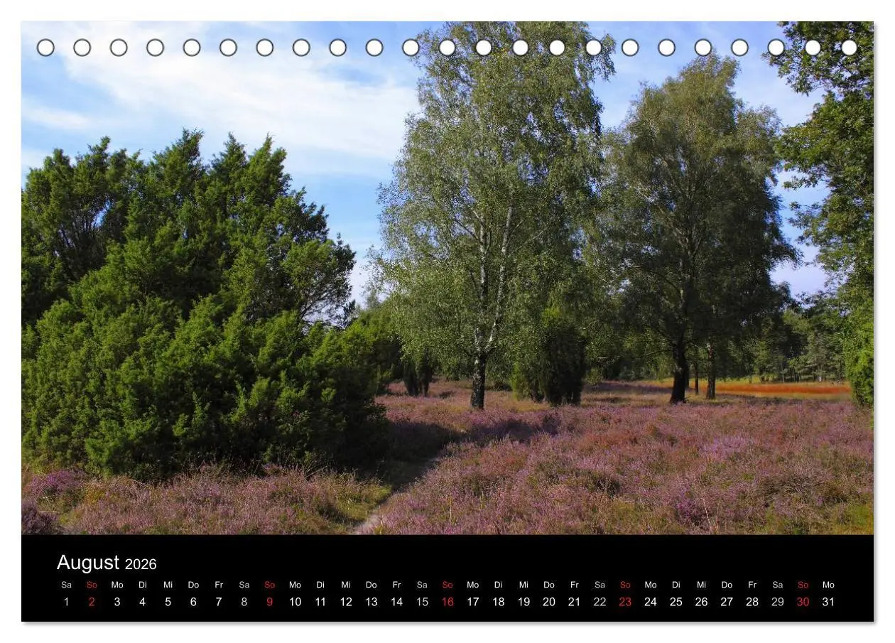 Bild: 9783516191684 | Lüneburg und die Lüneburger Heide (Tischkalender 2026 DIN A5 quer),...