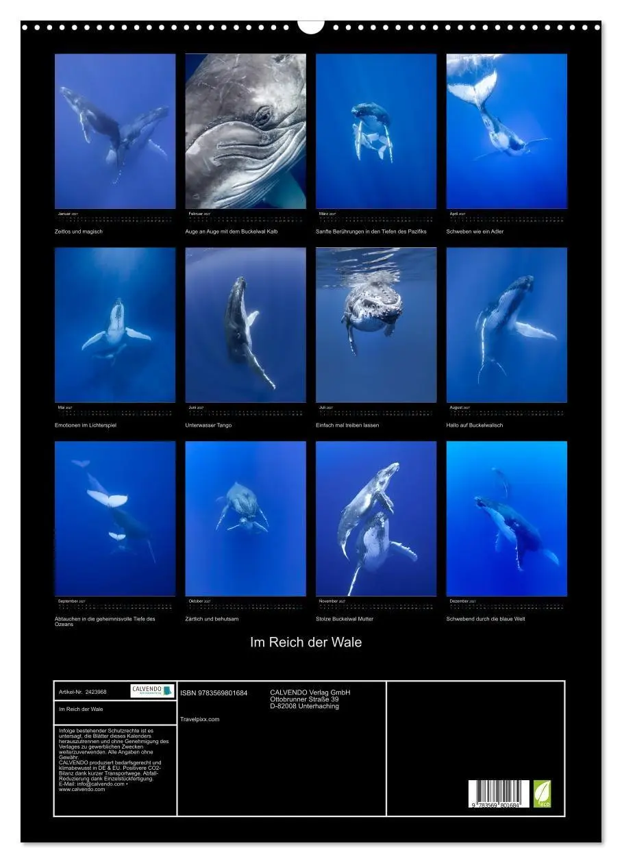 Bild: 9783569801684 | Im Reich der Wale (Wandkalender 2027 DIN A2 hoch), CALVENDO...