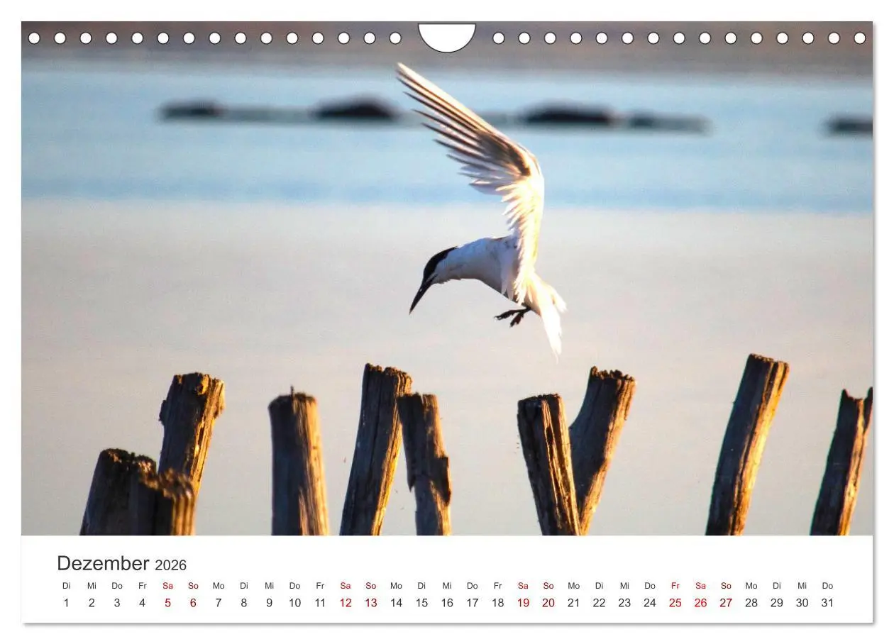 Bild: 9783457611784 | Bulgarien - Eine Reise zum Schwarzen Meer. (Wandkalender 2026 DIN...