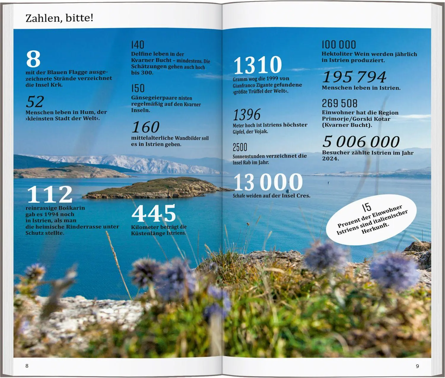 Bild: 9783616001784 | DUMONT direkt Reiseführer Istrien, Kvarner Bucht | Mit großem Faltplan