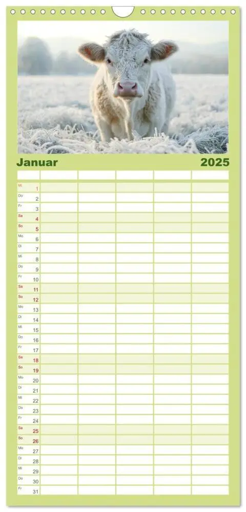 Bild: 9783457221884 | Familienplaner 2025 - KÜHE AUF DER ALM - Der Kalender aus Bayern...