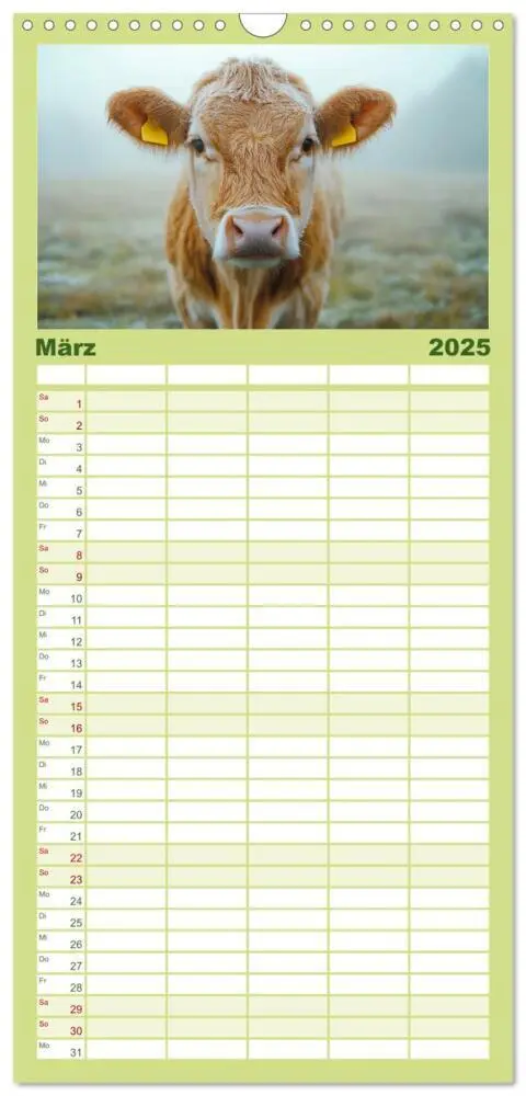 Bild: 9783457221884 | Familienplaner 2025 - KÜHE AUF DER ALM - Der Kalender aus Bayern...