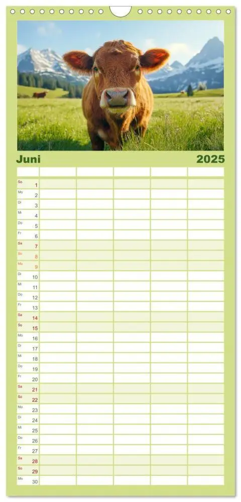 Bild: 9783457221884 | Familienplaner 2025 - KÜHE AUF DER ALM - Der Kalender aus Bayern...
