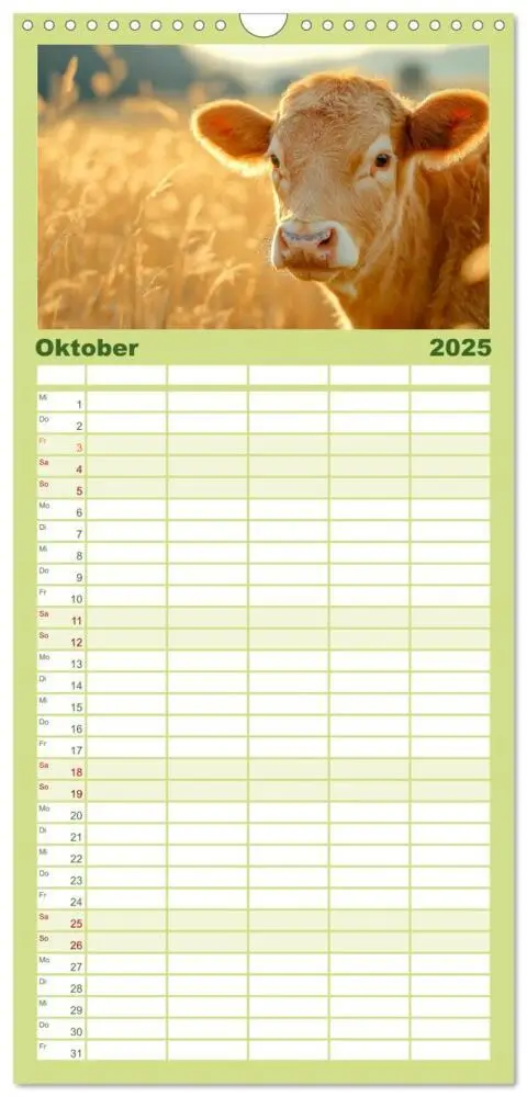 Bild: 9783457221884 | Familienplaner 2025 - KÜHE AUF DER ALM - Der Kalender aus Bayern...