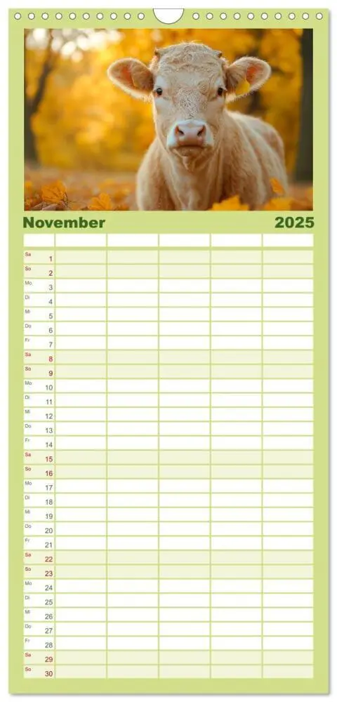 Bild: 9783457221884 | Familienplaner 2025 - KÜHE AUF DER ALM - Der Kalender aus Bayern...