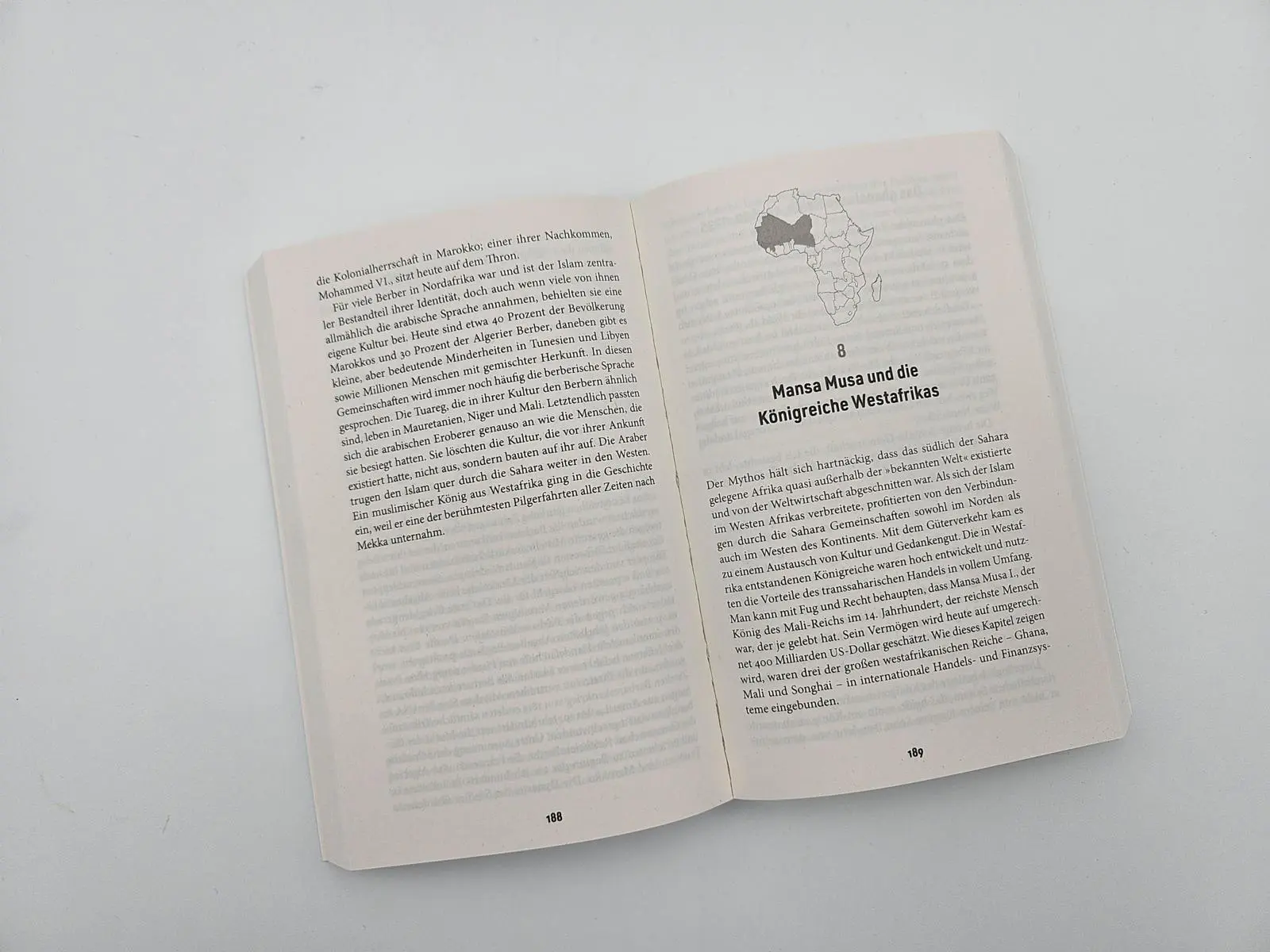 Bild: 9783492321884 | Eine afrikanische Geschichte Afrikas | Zeinab Badawi | Taschenbuch