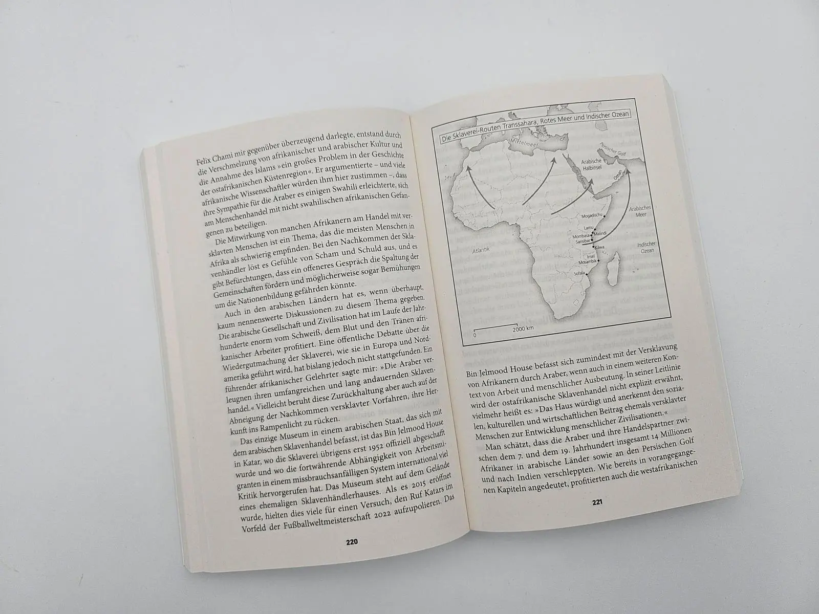 Bild: 9783492321884 | Eine afrikanische Geschichte Afrikas | Zeinab Badawi | Taschenbuch